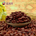 Best selling red kidney beans scientific name of beans